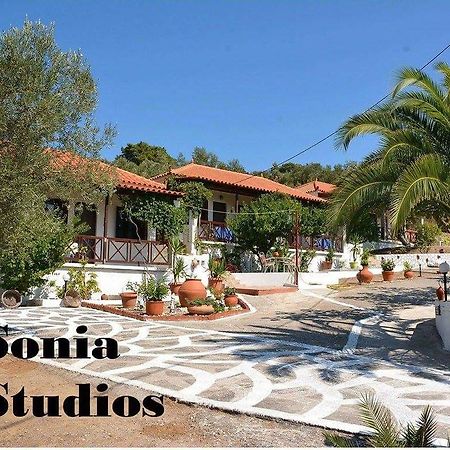 Sonia Studios Nees Kidonies Ruang foto