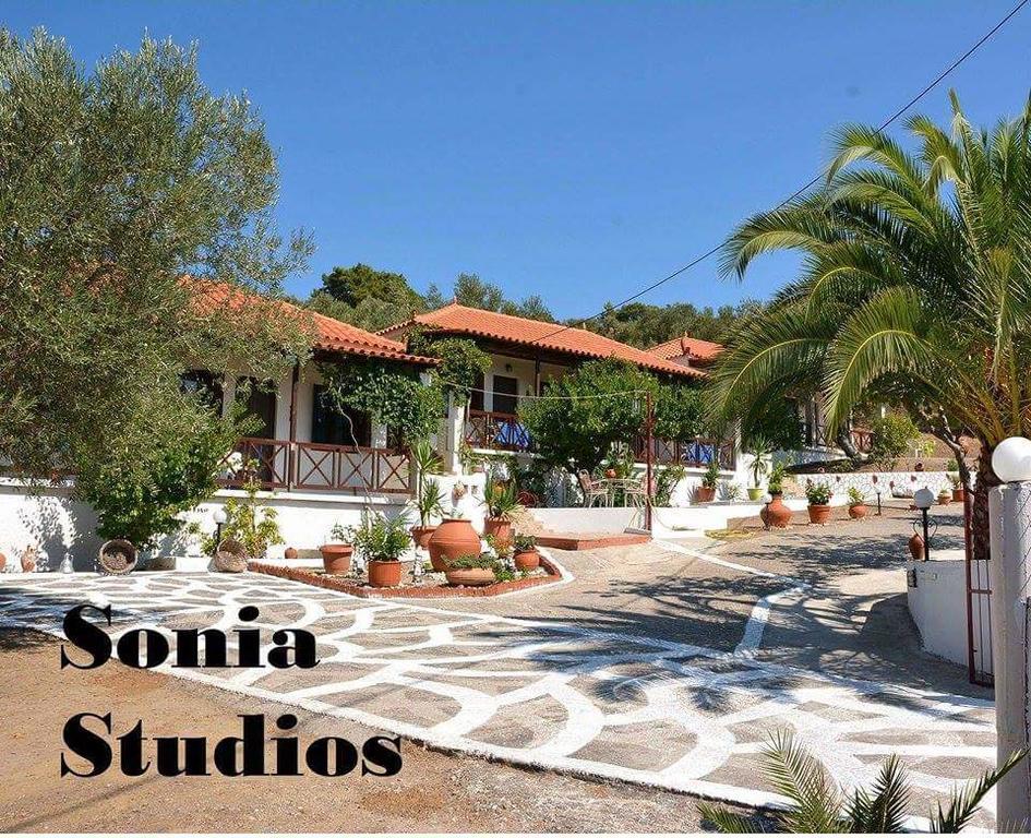 Sonia Studios Nees Kidonies Ruang foto