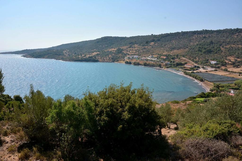 Sonia Studios Nees Kidonies Bagian luar foto