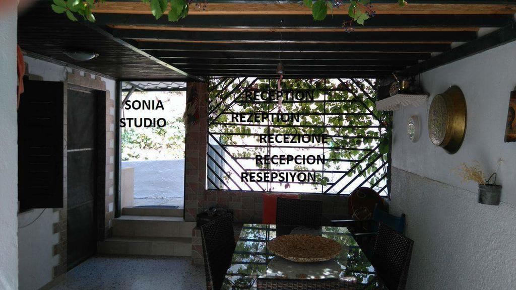 Sonia Studios Nees Kidonies Bagian luar foto