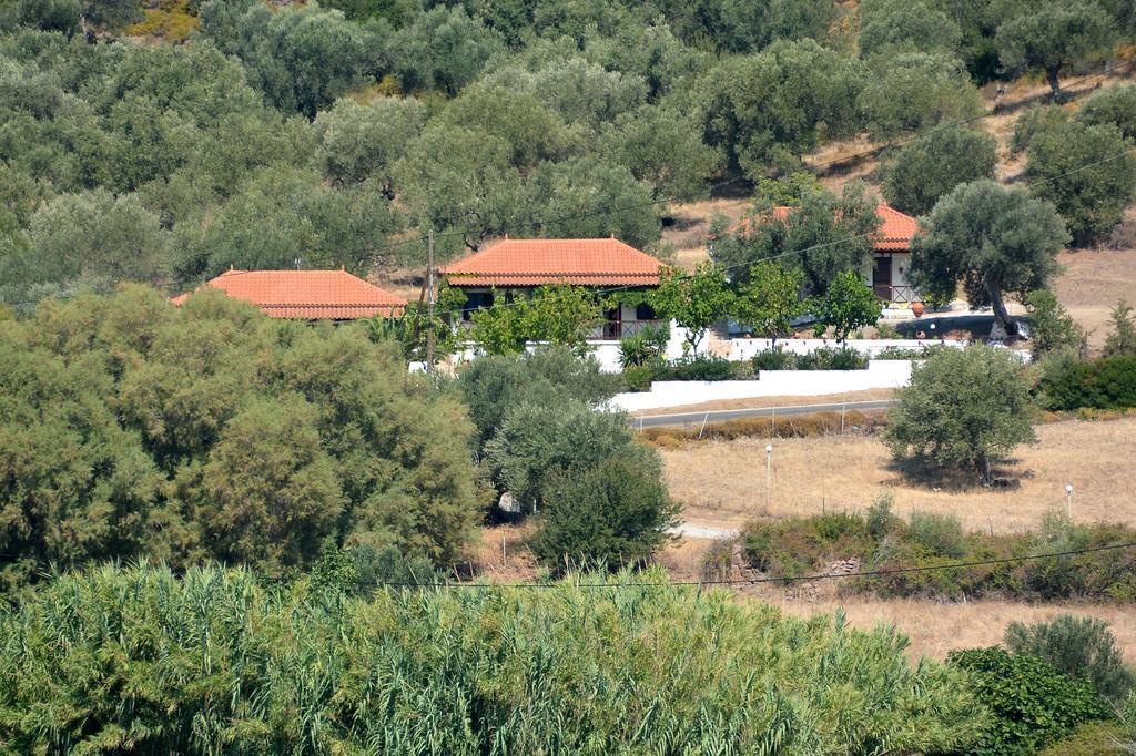 Sonia Studios Nees Kidonies Bagian luar foto