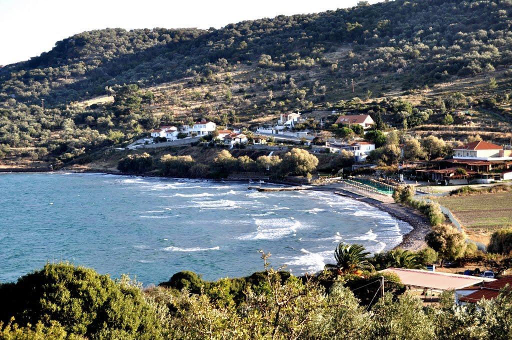 Sonia Studios Nees Kidonies Bagian luar foto