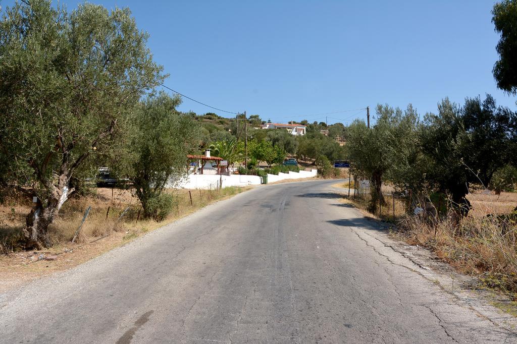 Sonia Studios Nees Kidonies Bagian luar foto